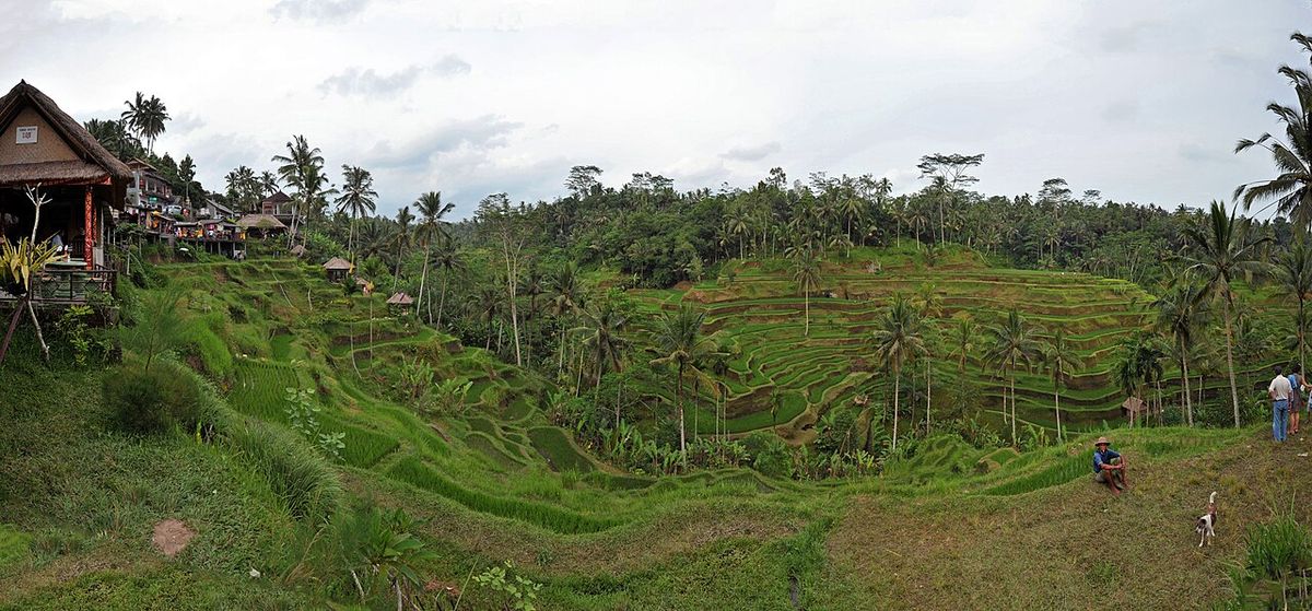 Ubud guide
