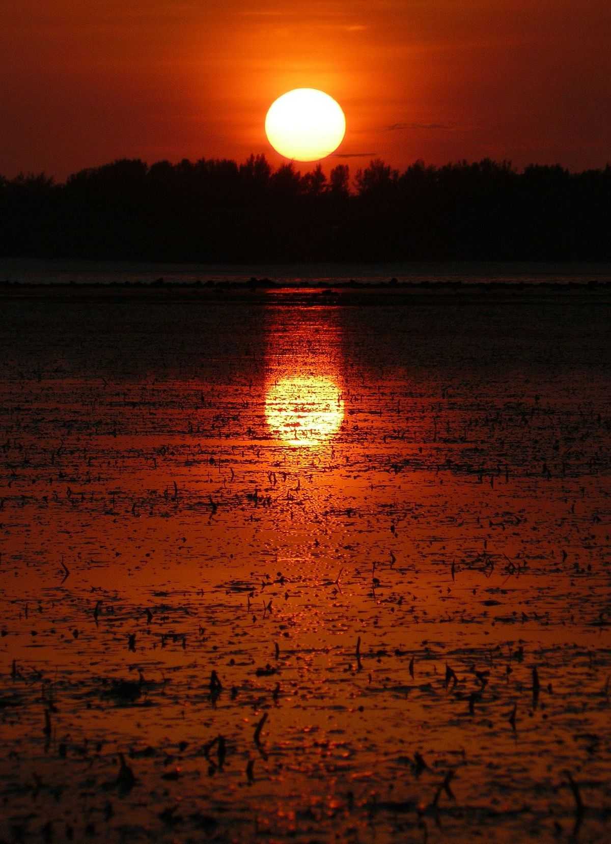 Gili Air